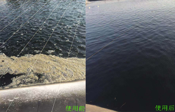 水产案例（1）(图1)