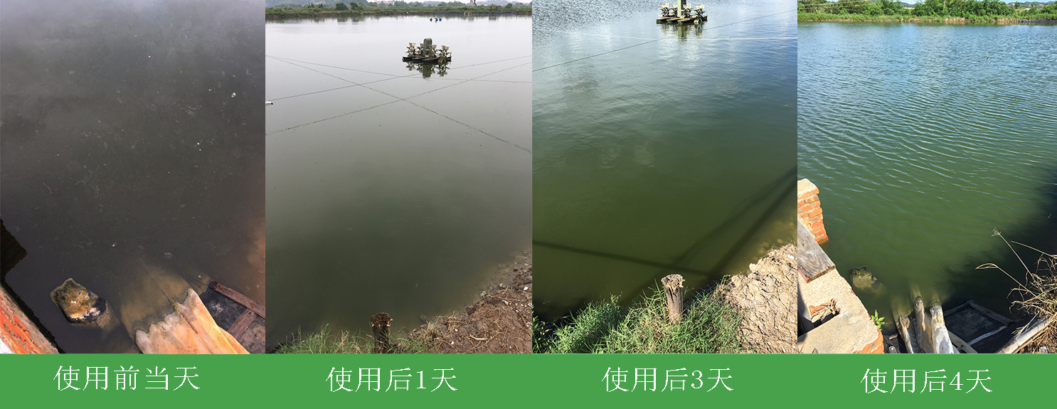 水产案例（2）(图1)